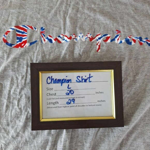 Champion Patriotic Tee Shirt Gray Basic Short Sleeve Womens Large Unisex Active - Picture 5 of 8